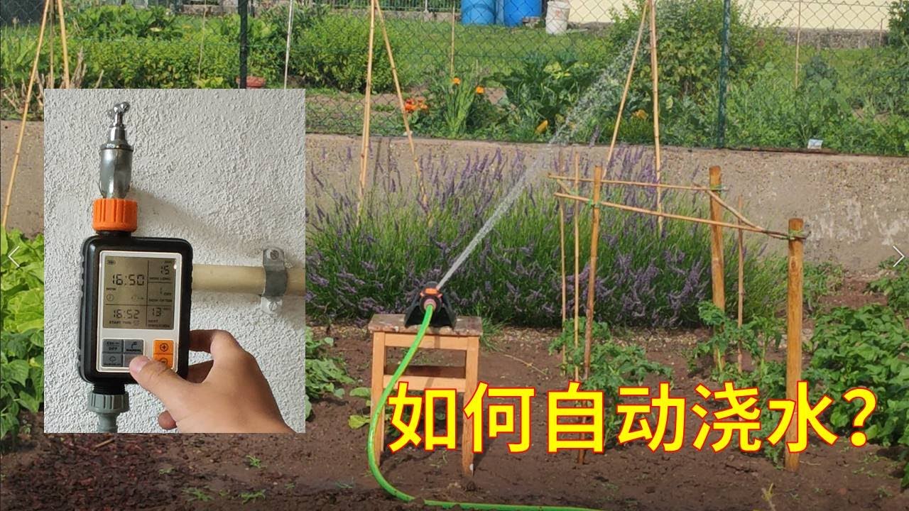度假不用求人浇水了，简易自动浇水系统