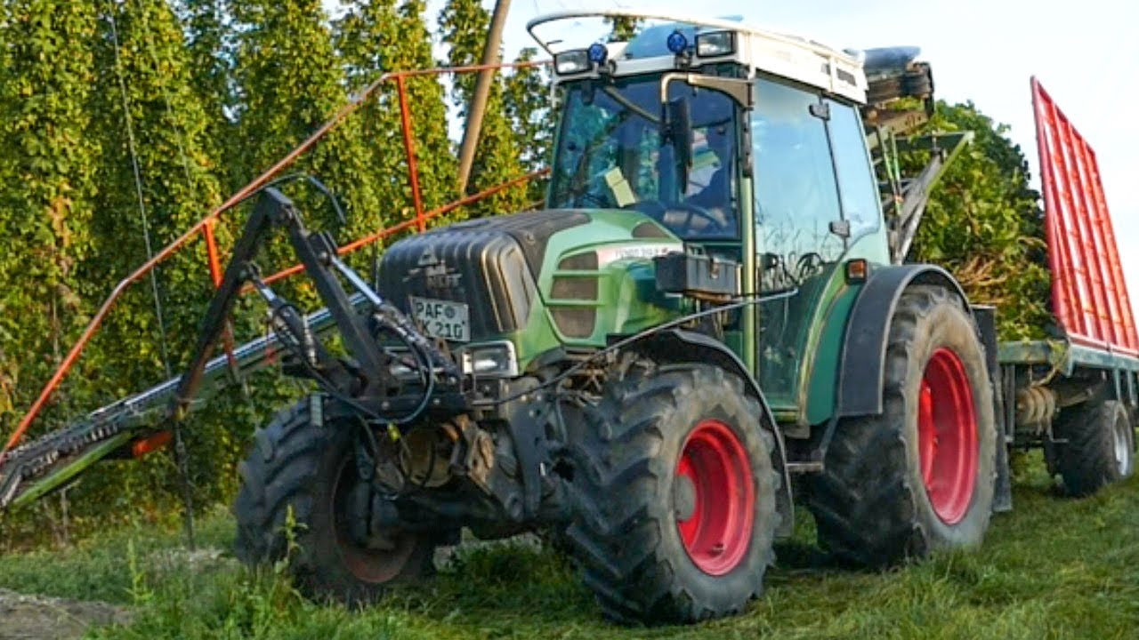 Hopfen Ernte 2021 🍻  Hightech für die Bierproduktion