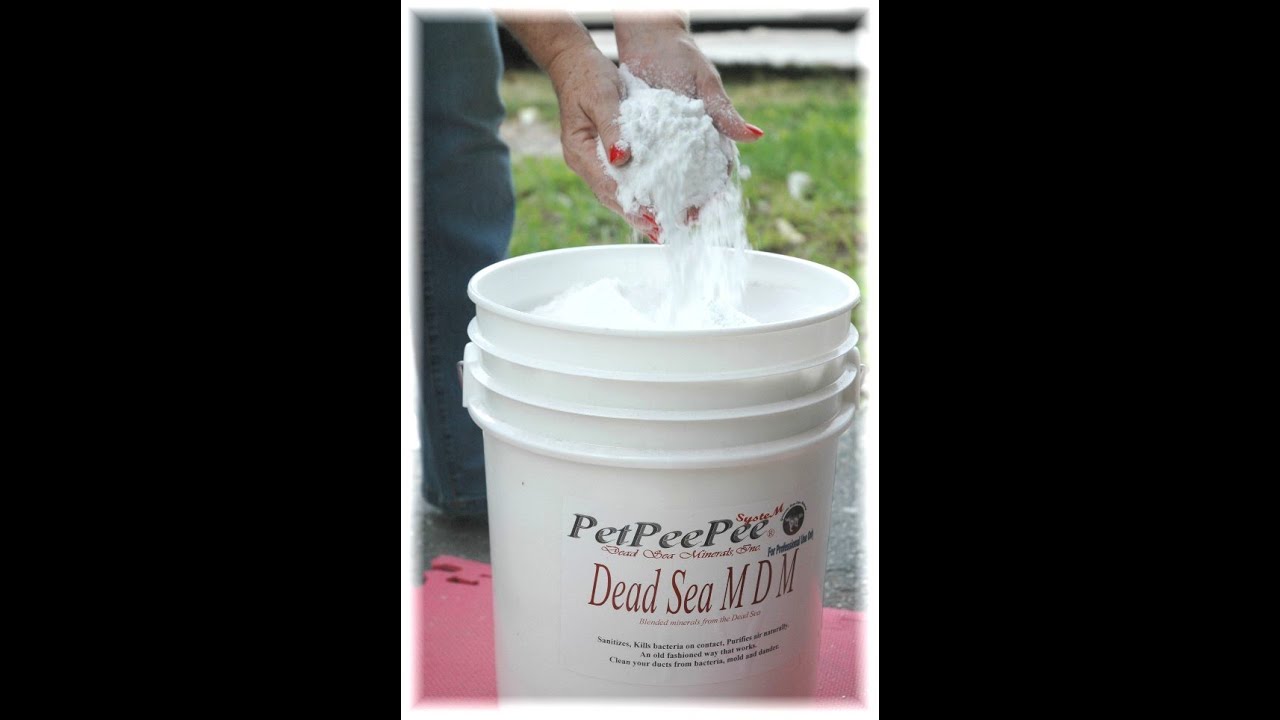 Now in Switzerland Oriental rug Cleaning Using the Dead Sea Cleaner | By PetPeePee Company
