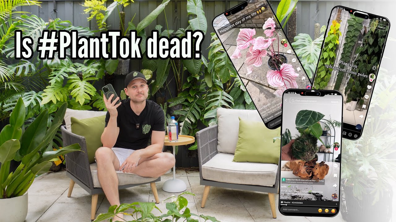 Reacting to Viral Social Media Plants - let's get inspired