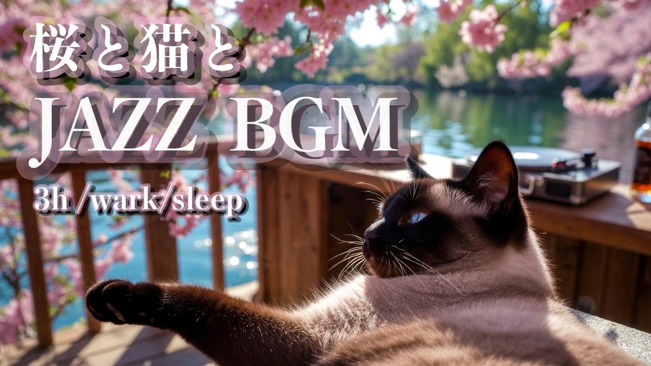 【作業用BGM】 桜と猫と癒しLo-Fi Jazz🌸３時間/勉強・仕事・睡眠/relaxing/background/sleep/study/work