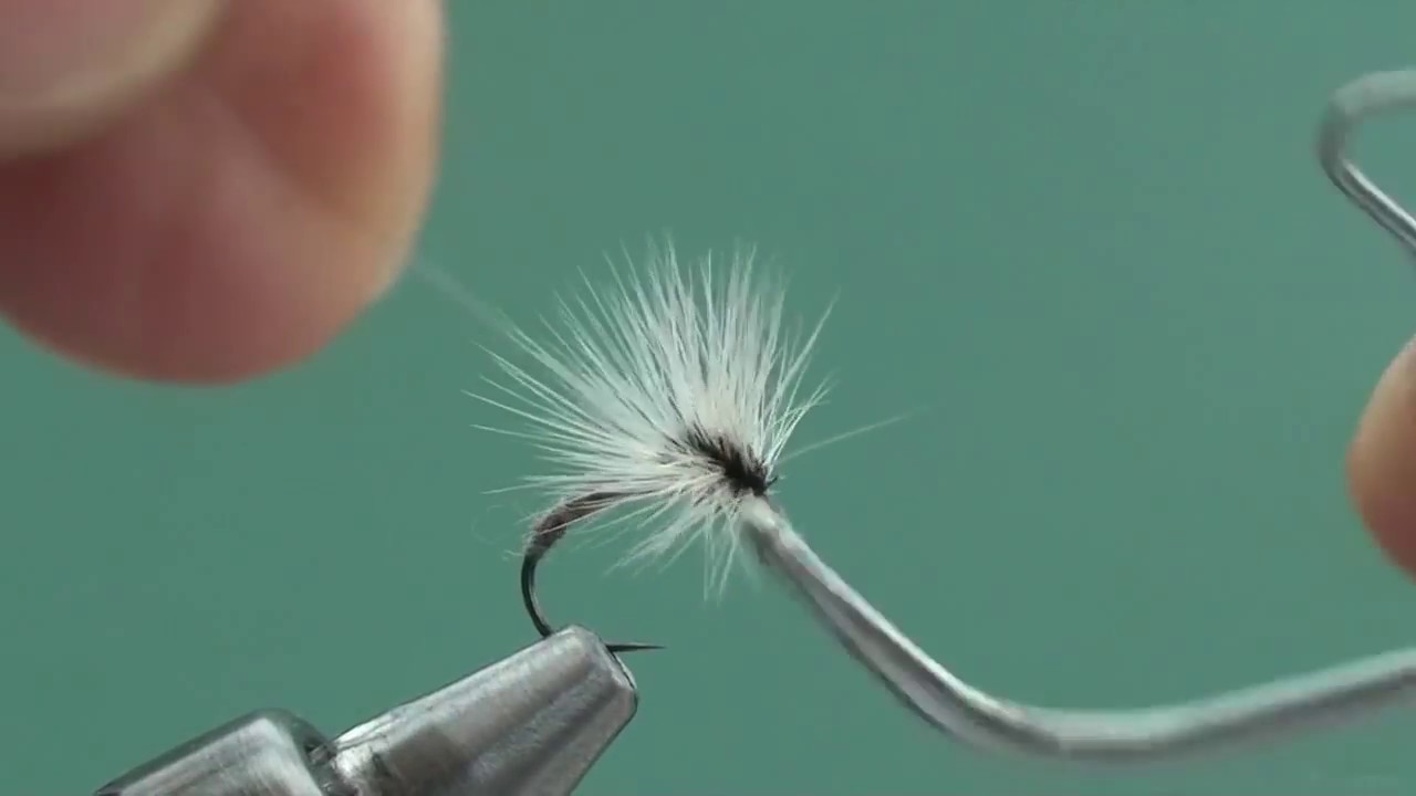 Dirty Duster Paraloop
