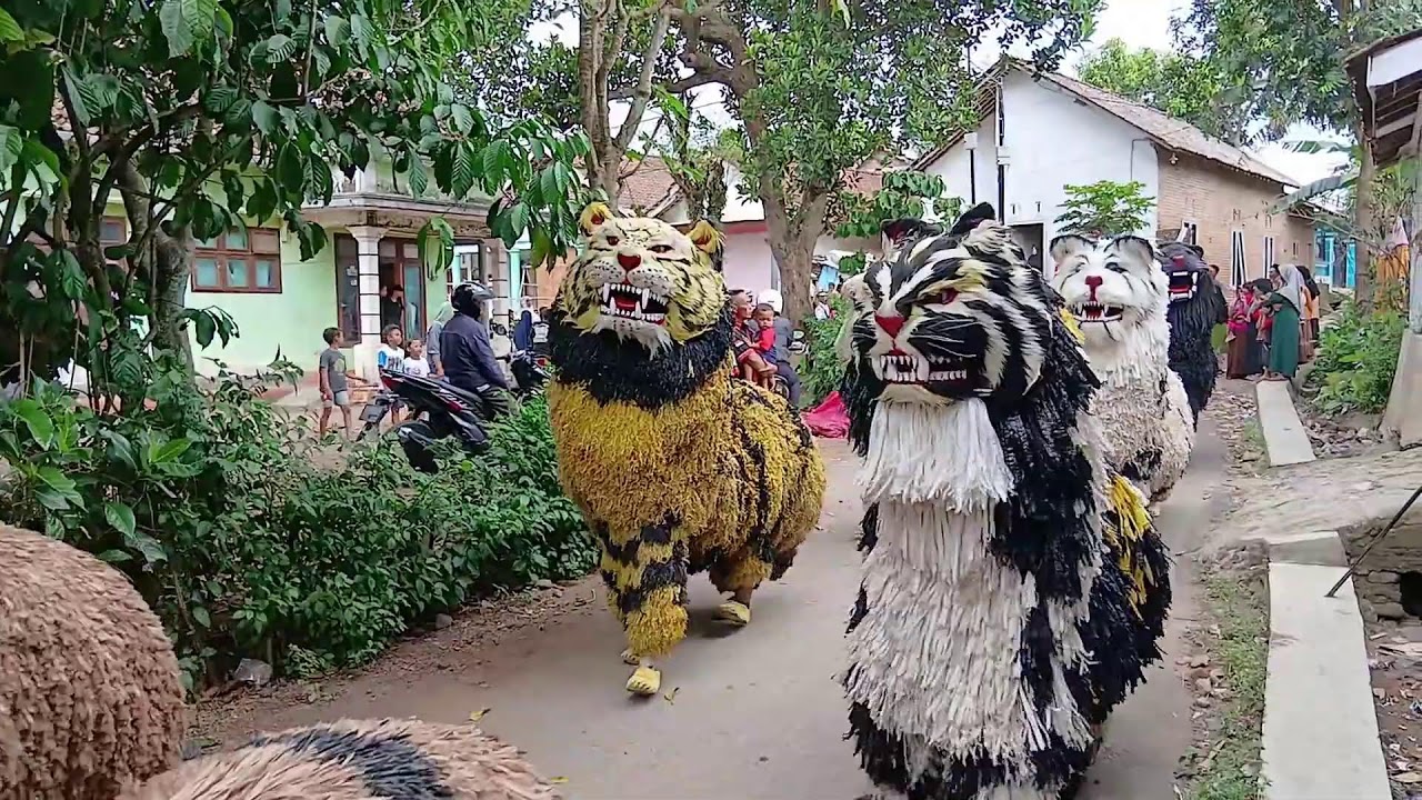 Live Kirab Can Macanan Ba Lakek Hamdians Di Tanah Wulan Maesan Bondowoso