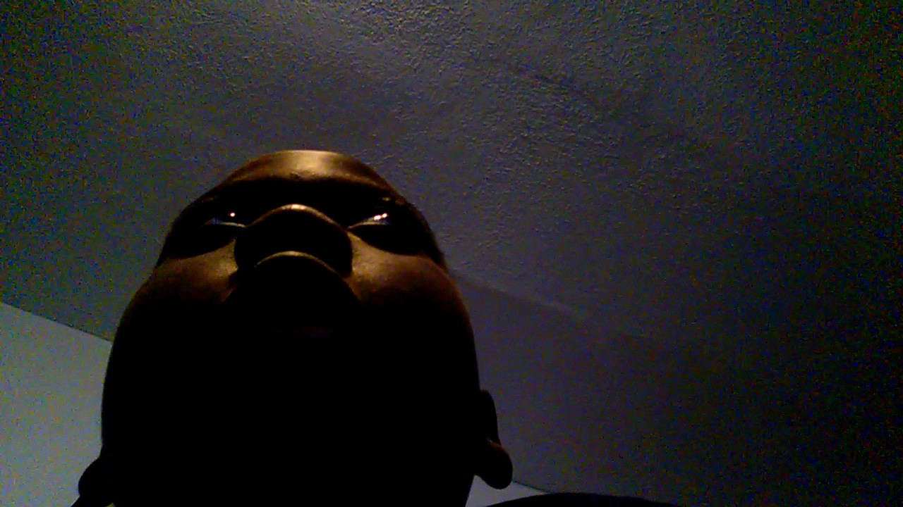 DD's first original video