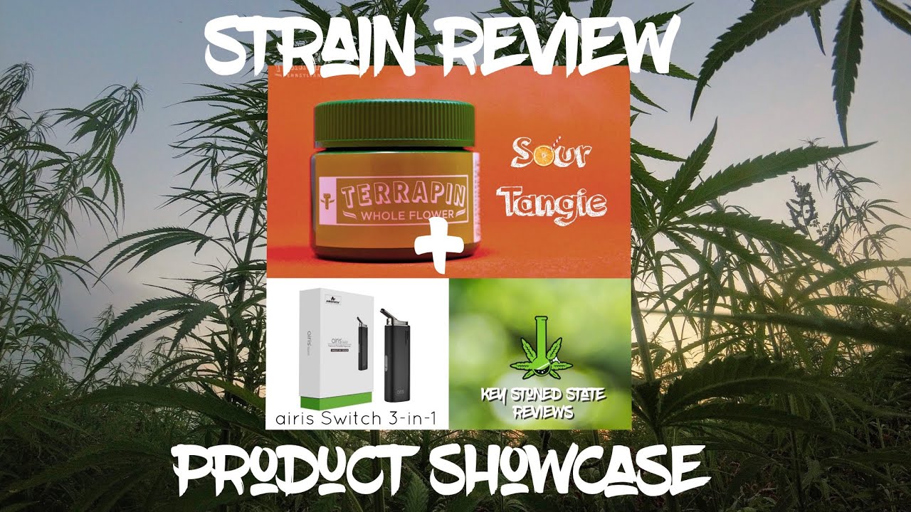Sour Tangie - Strain Review/ Product Showcase - Airis Switch 3-in-1/ PA Medical Marijuana