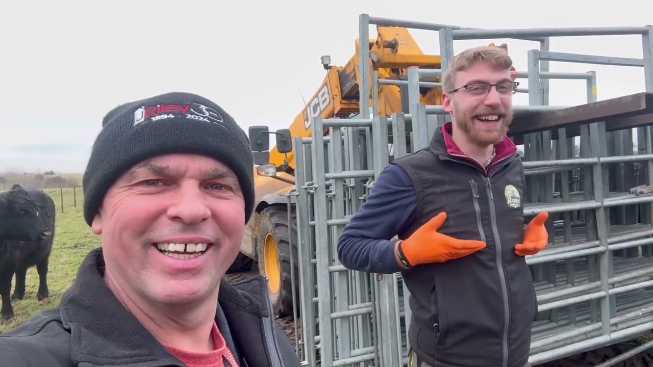 BULLY BOY USES THE JCB AS A SCRATCHING POST👌