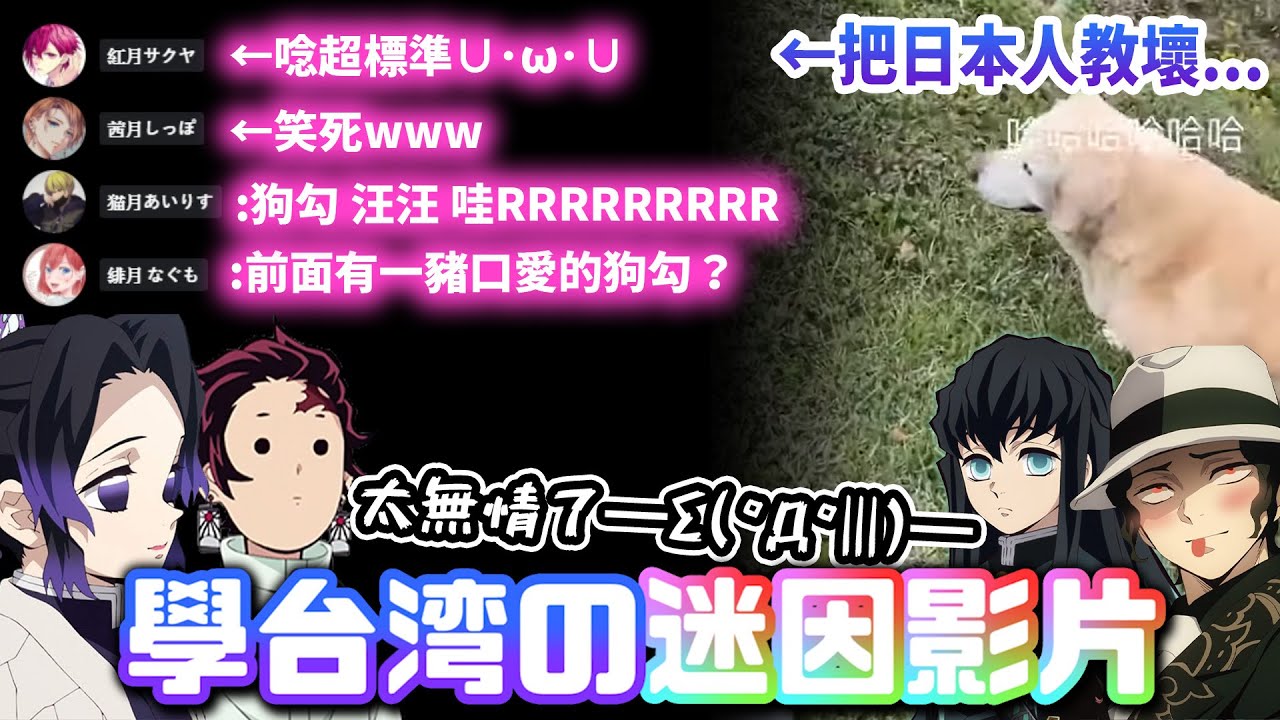 【爆笑】鬼滅の刃声真似主來模仿「台灣迷因」沒想到www｜前面有一隻超可愛的狗勾【声真似】【中文字幕】