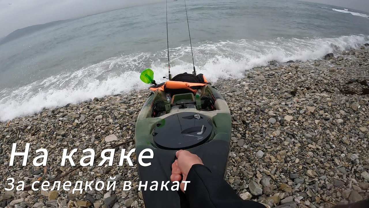 За селедкой в накат