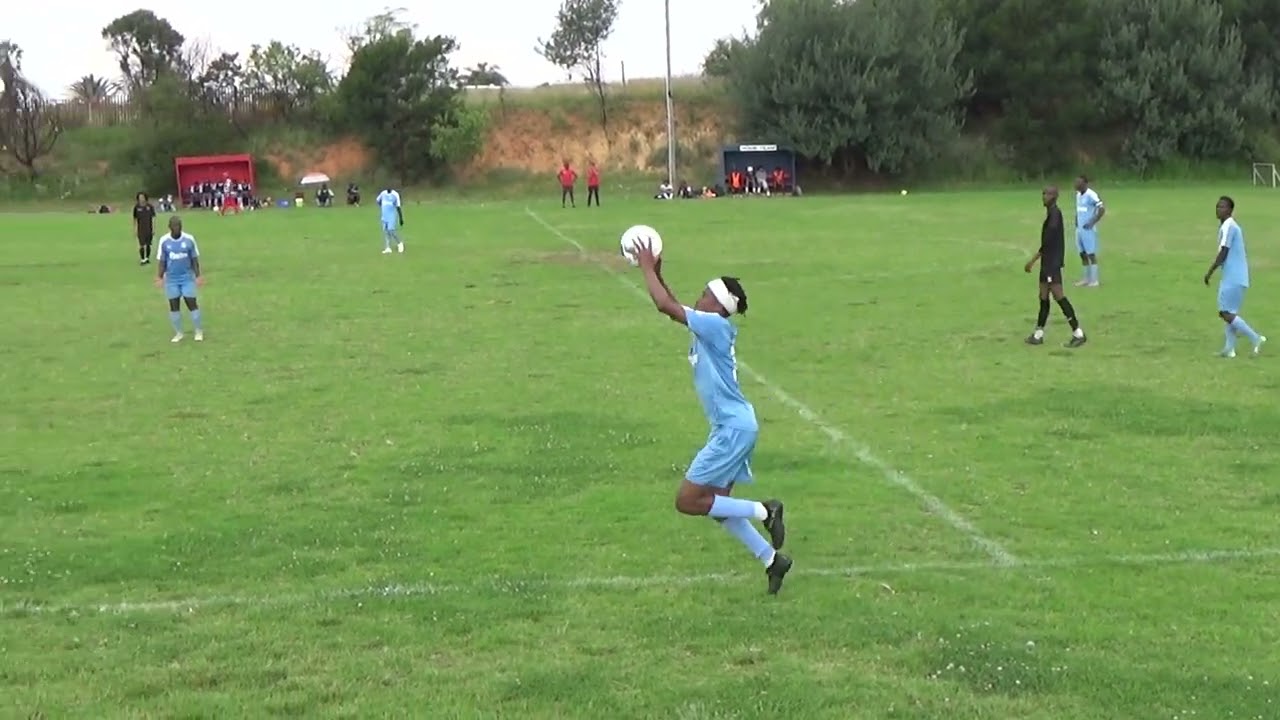 Panorama vs Scara 17/01/2026