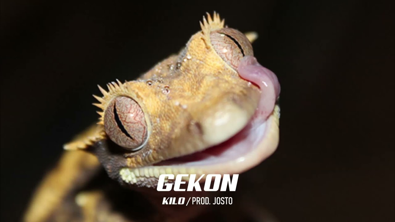 Kilo - Gekon (prod. Josto)