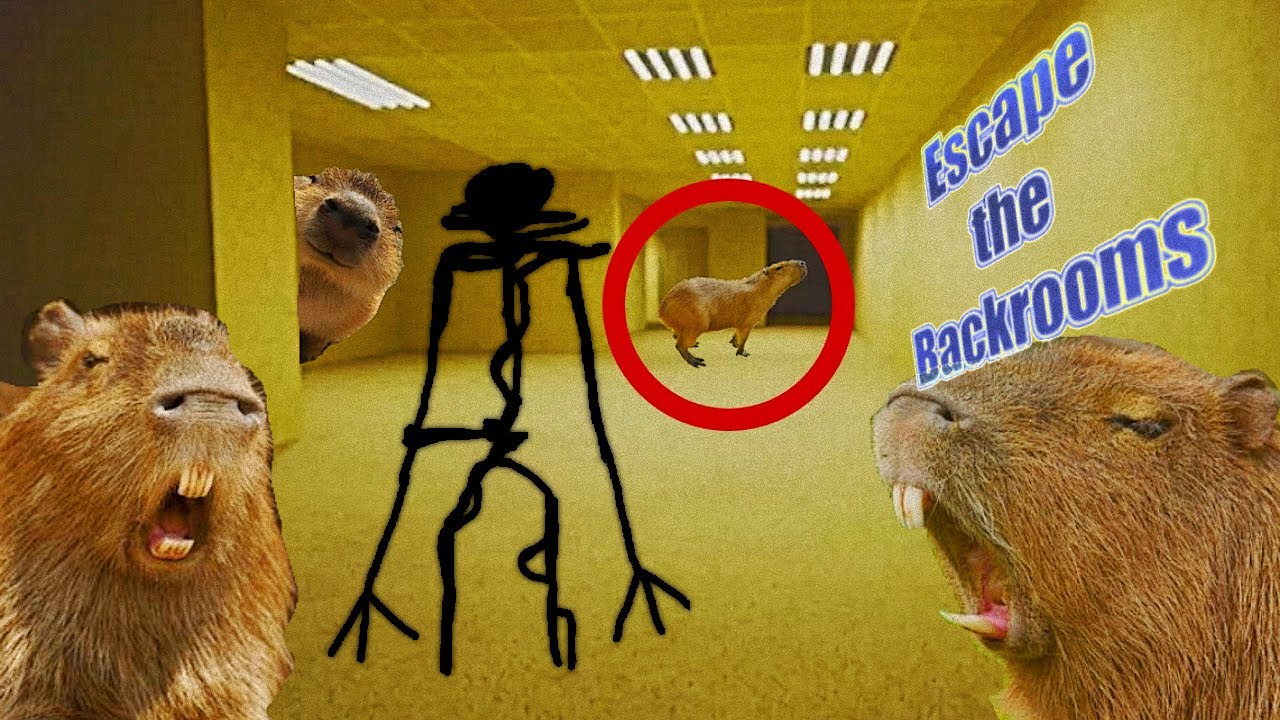Me and the Bois in the Backrooms