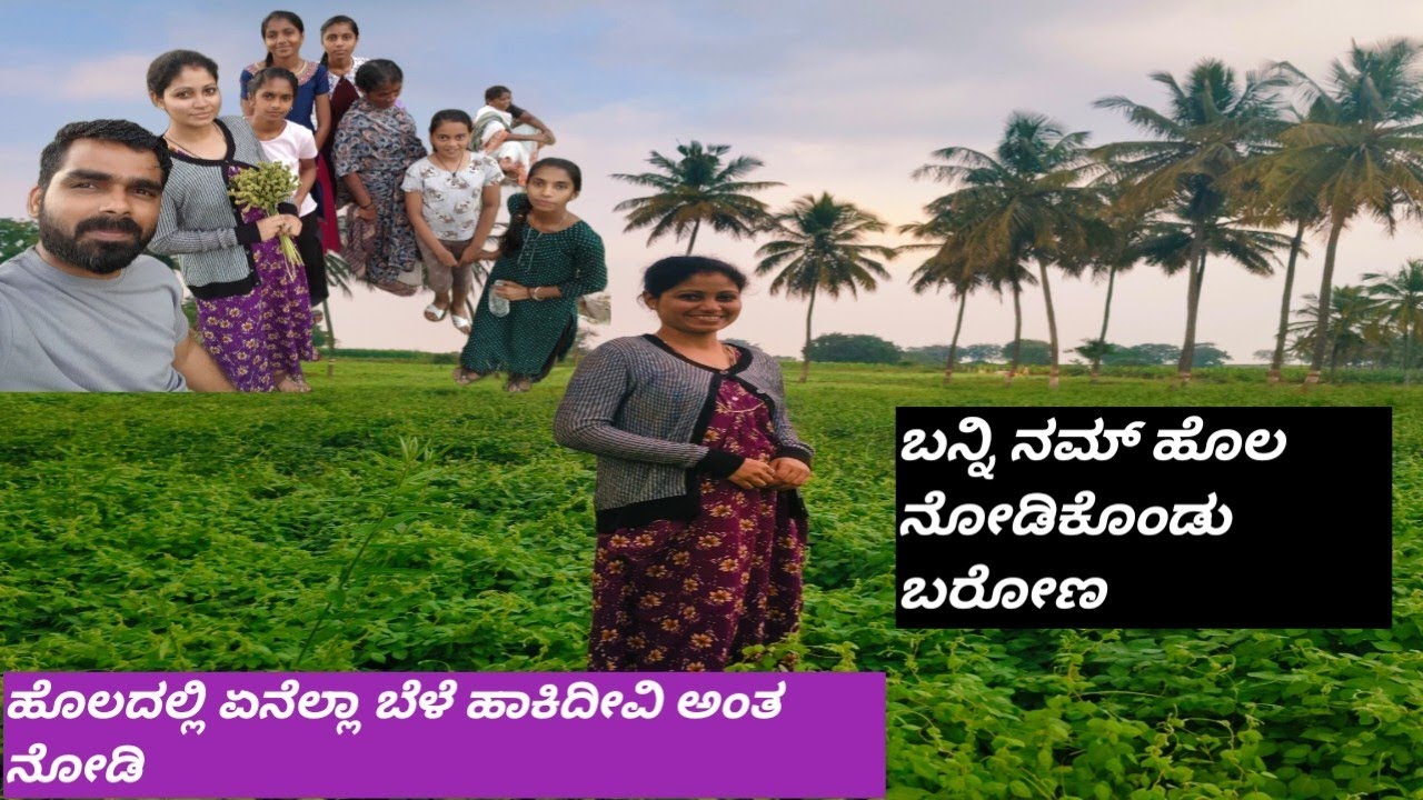 ಬನ್ನಿ ನಮ್ಮ ಹೊಲ ನೋಡಕ್ ಹೋಗೋಣ 🌾🌱 ಏನೆಲ್ಲ ಬೆಳೆ ಹಾಕಿದೀವಿ ಅಂತ ನೋಡಿ 🌿