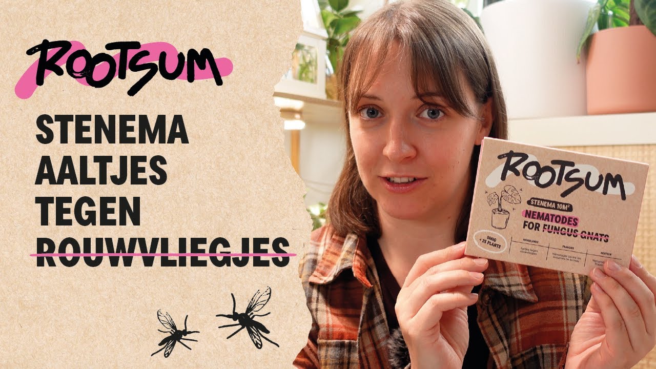 ROOTSUM | STENEMA aaltjes inzetten tegen ROUWVLIEGJES