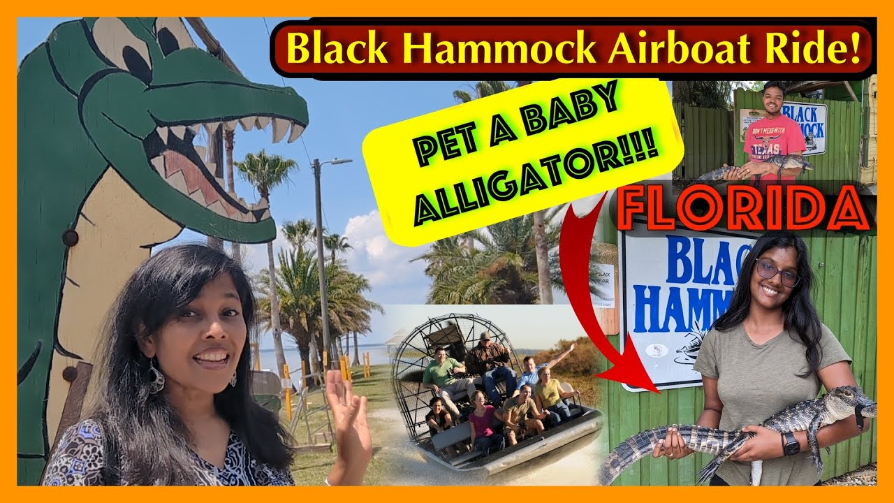 Black Hammock Airboat Ride ⛴️ Florida's Hidden Gem🐊&hearts;️  Orlando, Florida🐊 Experience the Real Florida
