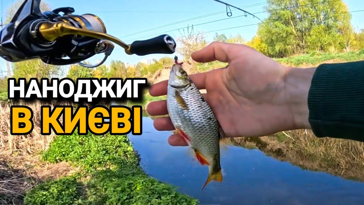 Наноджиг в Києві✅ Неочікуваний Кльов Карася та Червонопірки на Мормишку. Мікрорічка/Озеро.