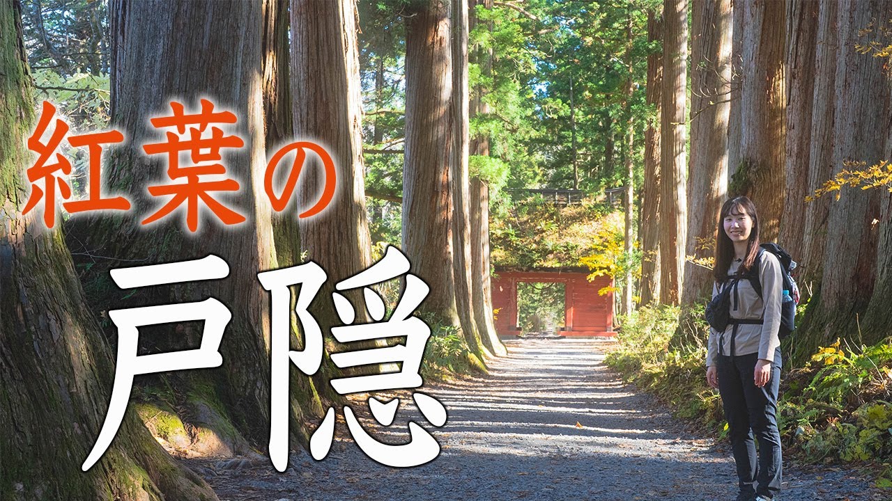 戸隠の紅葉トレッキング！戸隠神社中社〜鏡池〜奥社まで！神秘的なルートと戸隠蕎麦も堪能！