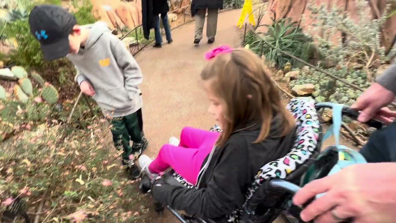 milwaukee Domes, bucket list touch a cactus 