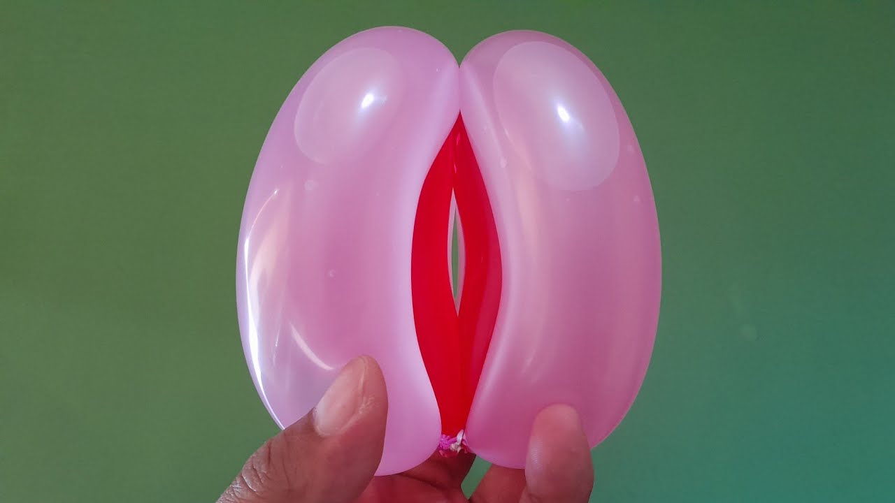 DIY BALLOON TOYS !! MAKE AMAZING BALLOON TOYS !!