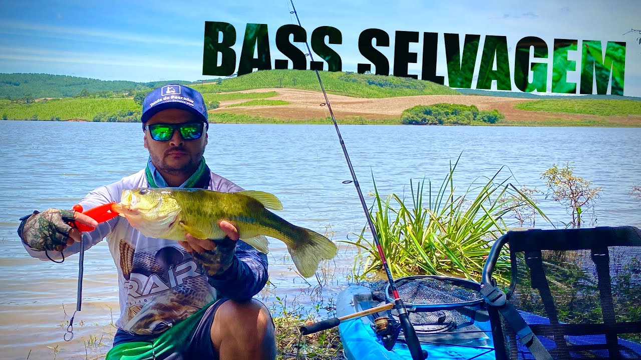 Pescaria de Black Bass Selvagem + Traíra 40Up  | Tudo no Rio Caveiras /SC