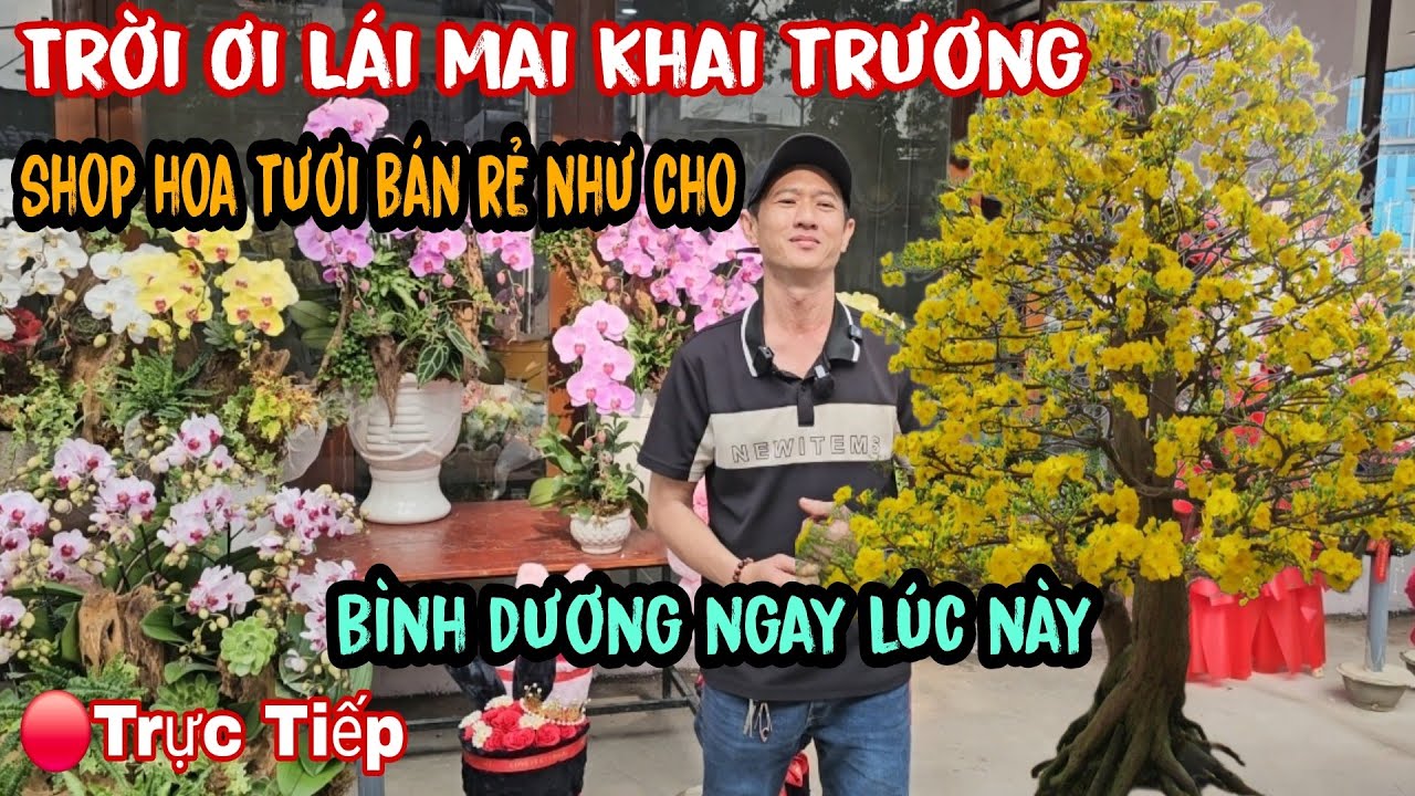 Trời Ơi Lái Mai Ế Ẩm Kiếm Thêm Thu Nhập Khai Trương Shop Hoa Tươi Giá Rẻ Nhất Sài Gòn 