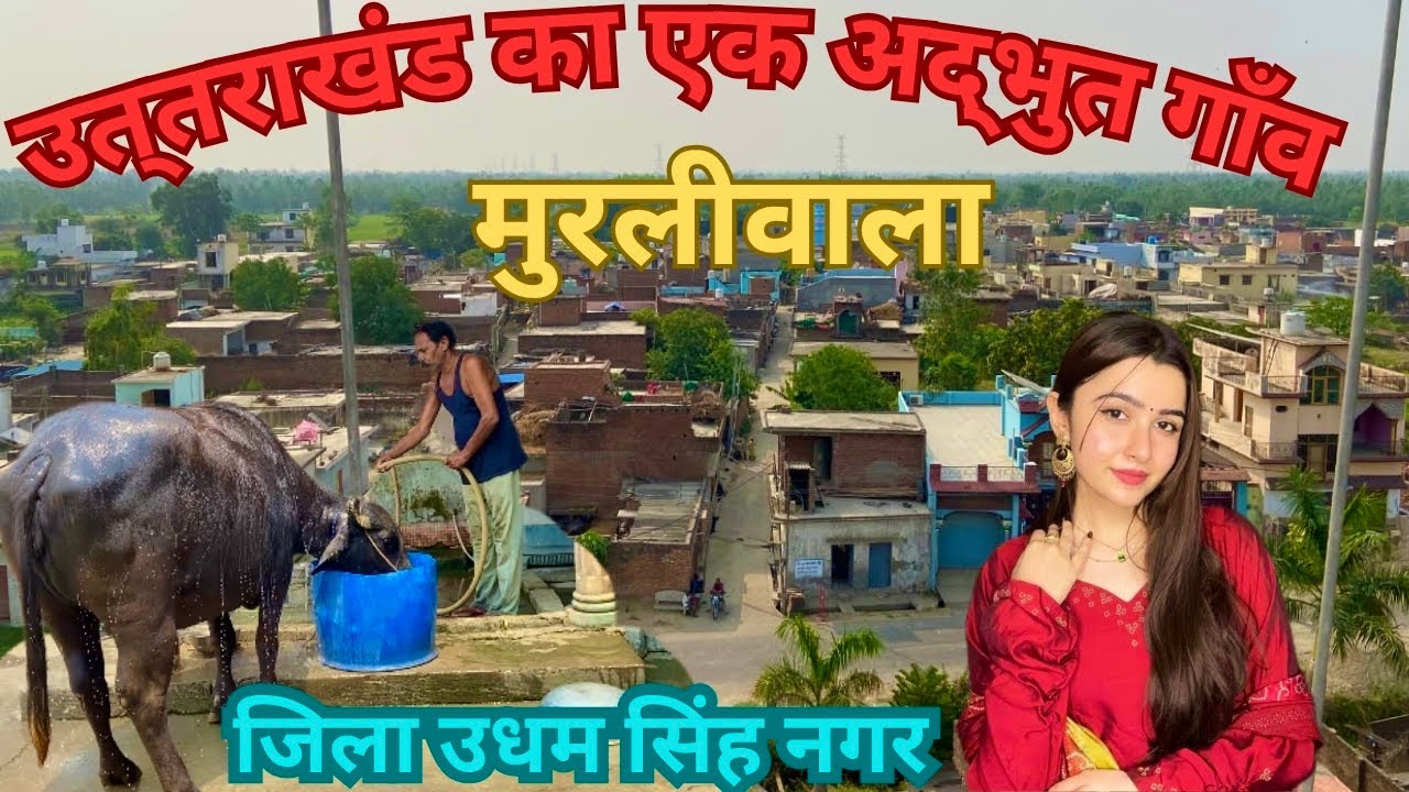Last Village Of Uttrakhand | Murliwala Village Vlog | History of Udham Singh Nagar |@Nomadicbirduk07