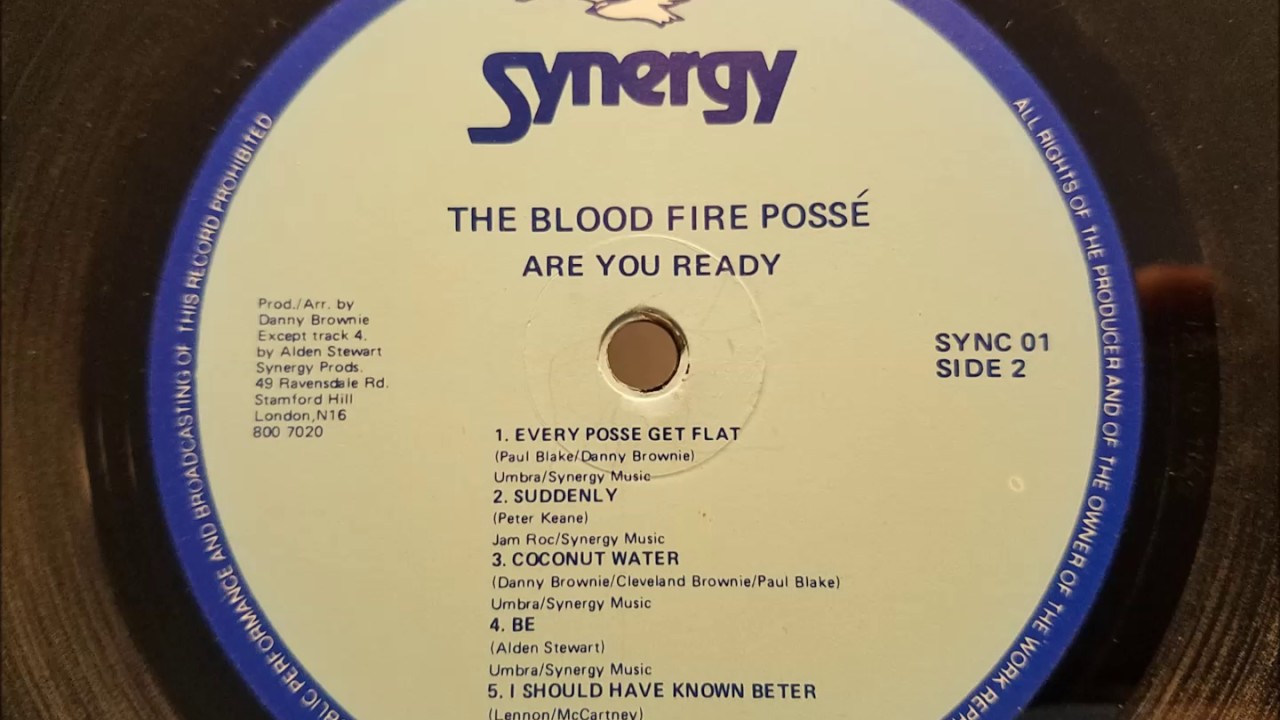 Blood Fire Posse - Every Posse Get Flat - Synergy LP - 1985