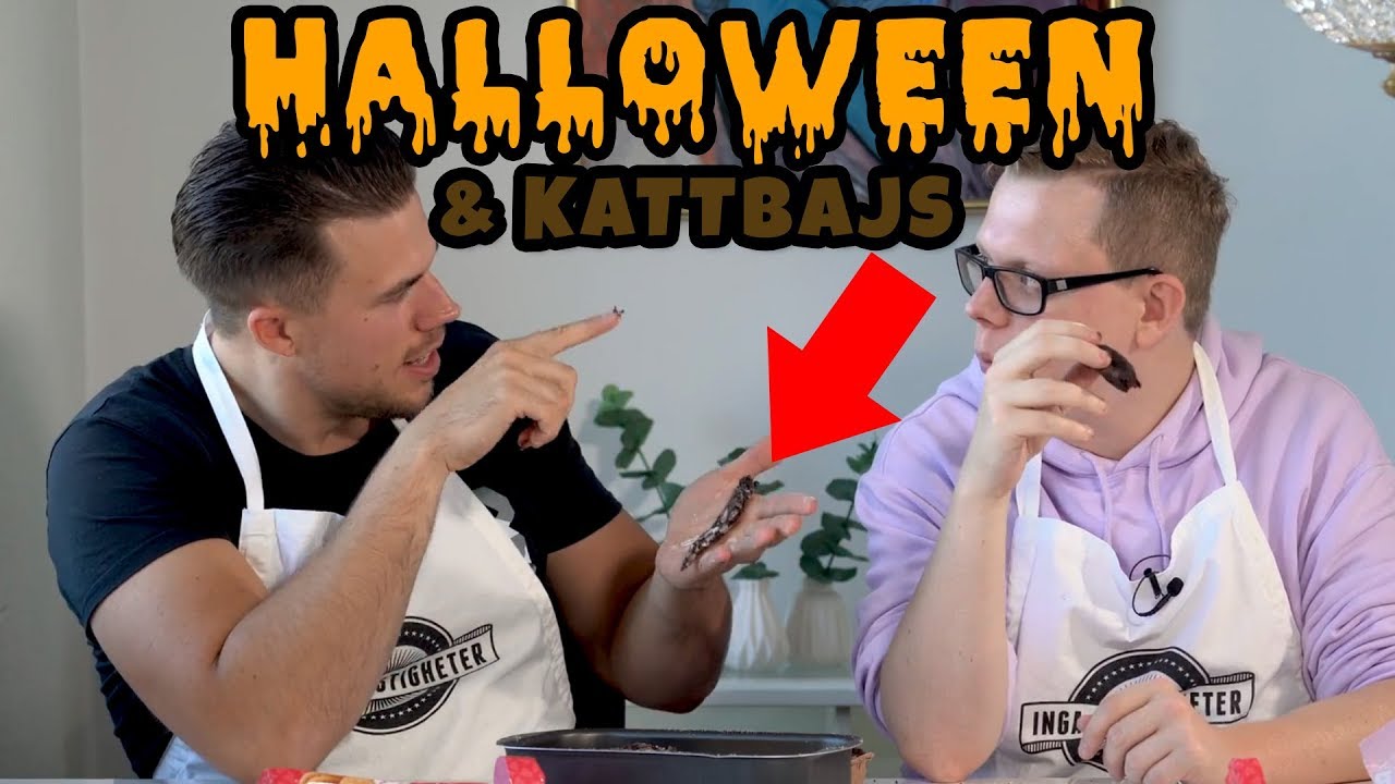 HALLOWEEN, SP&Ouml;KEN & DIY KATTBAJS