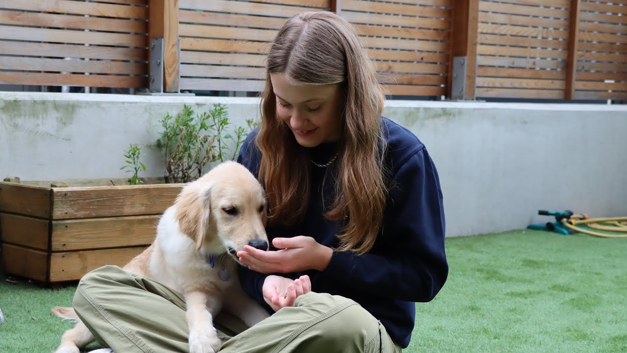 Leila's wish 'to go to Battersea Dogs & Cats Home' | Make-A-Wish UK