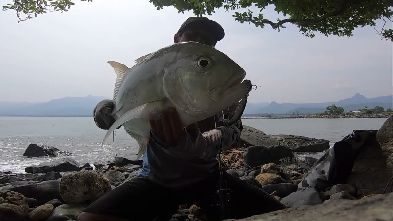 KEBERUNTUNGAN !! GT BABON DI SPOT DANGKAL BERBATU | casting ultralight fishing