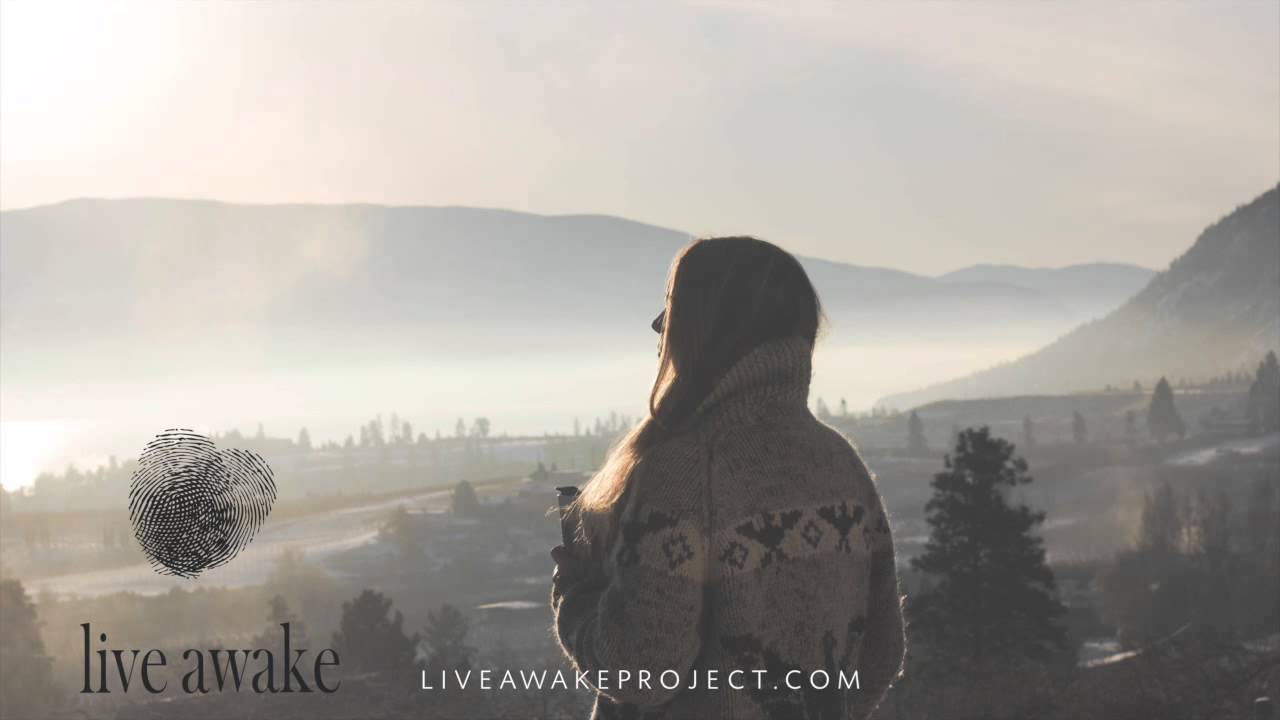 LIVE AWAKE-LEARNING TO HONOUR OUR RYTHMS AND CYCLES
