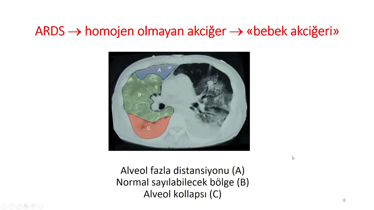 Prof. Dr. Arzu Topeli İskit 
