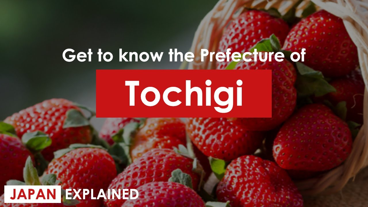 Get to Know the Prefecture of TOCHIGI! | Japan Explained