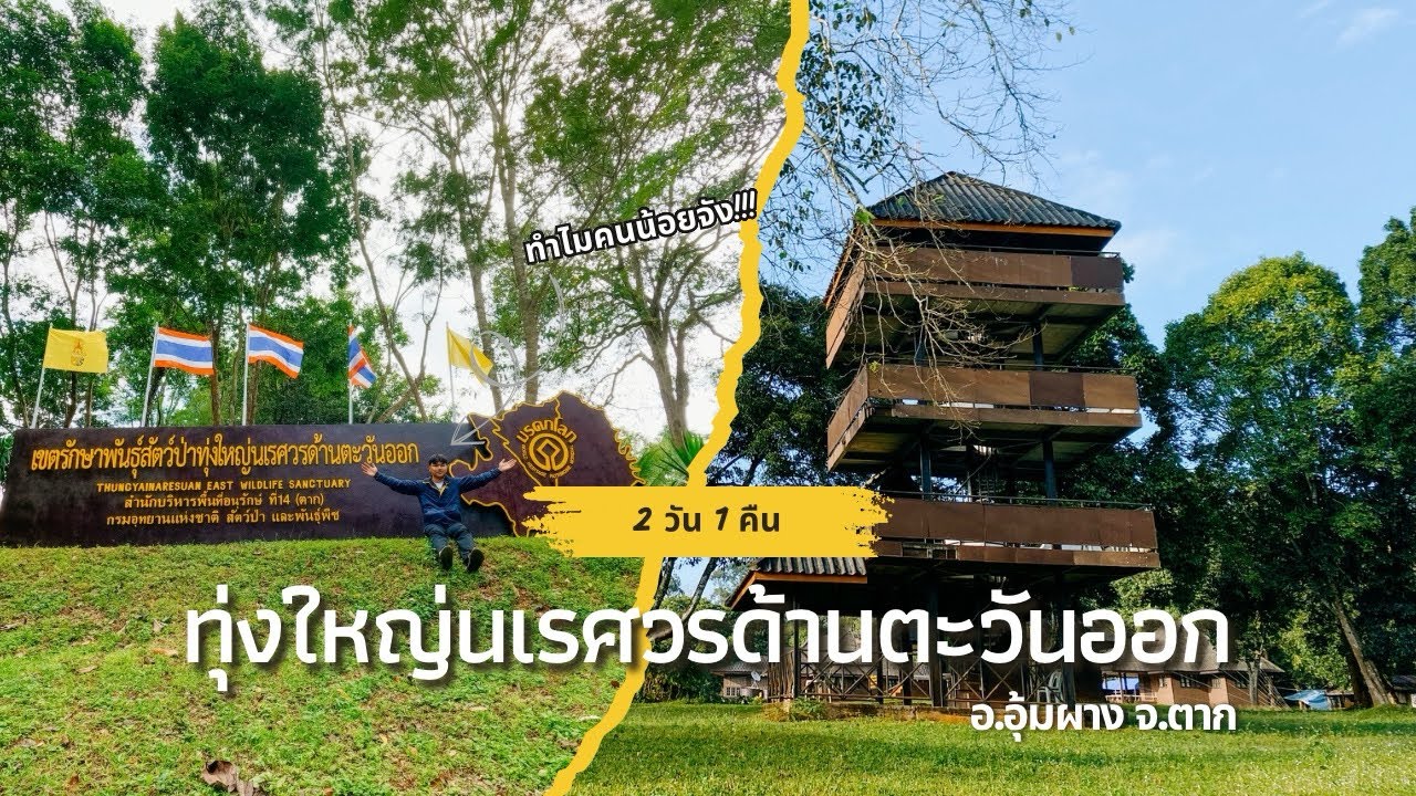 เที่ยวผืนป่าตะวันตก ทุ่งใหญ่นเรศวรด้านตะวันออก 2 วัน 1 คืน | อุ้มผาง จ.ตาก