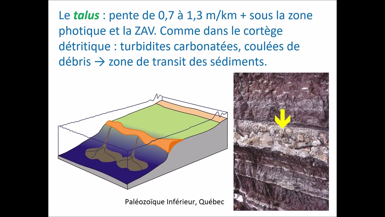 Géologie générale 43: les roches sédimentaires partie 21 #géologie #nature #roches #calcaire #récif