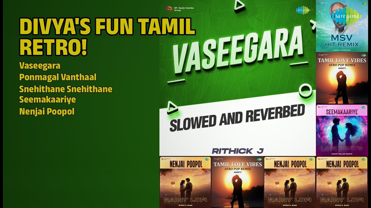 திவ்யாவின் மகிழ்ச்சி பொங்கும் பாடல்! | Divya Vivekanandan Songs | Vaseegara | Ponmagal Vanthaal