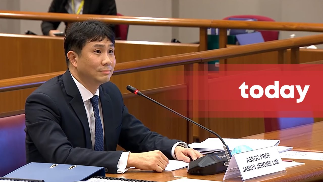 WP’s Jamus Lim testifies to the Committee of Privileges