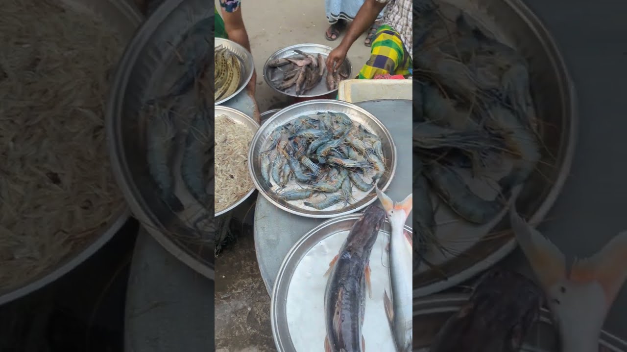 বালাশুর তাজা মাছের বাজার বিক্রমপুর শ্রীনগর 😊 ।।  Fish Market Balashur Bikrampur