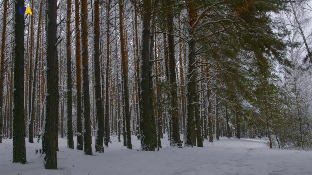 Міжрічинський ландшафтний парк | Незвідана Україна