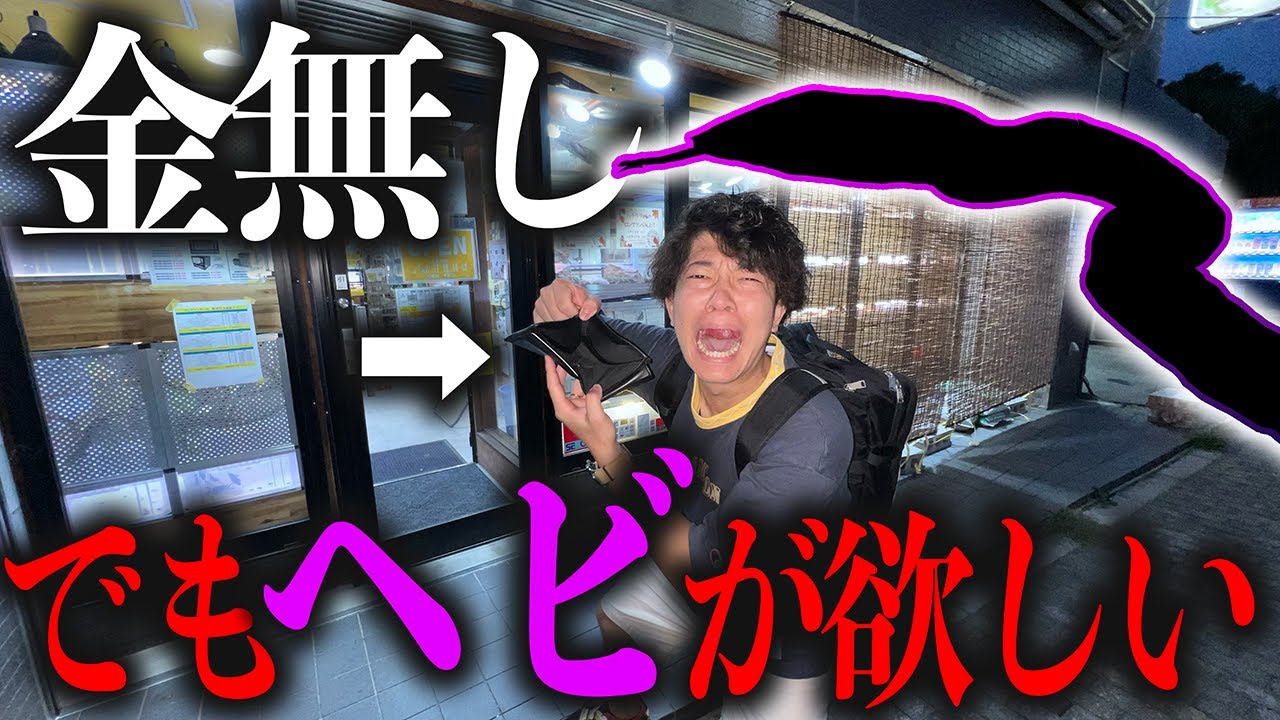 引越しで100万円使ったばっかの男がヘビを買ってしまいました…