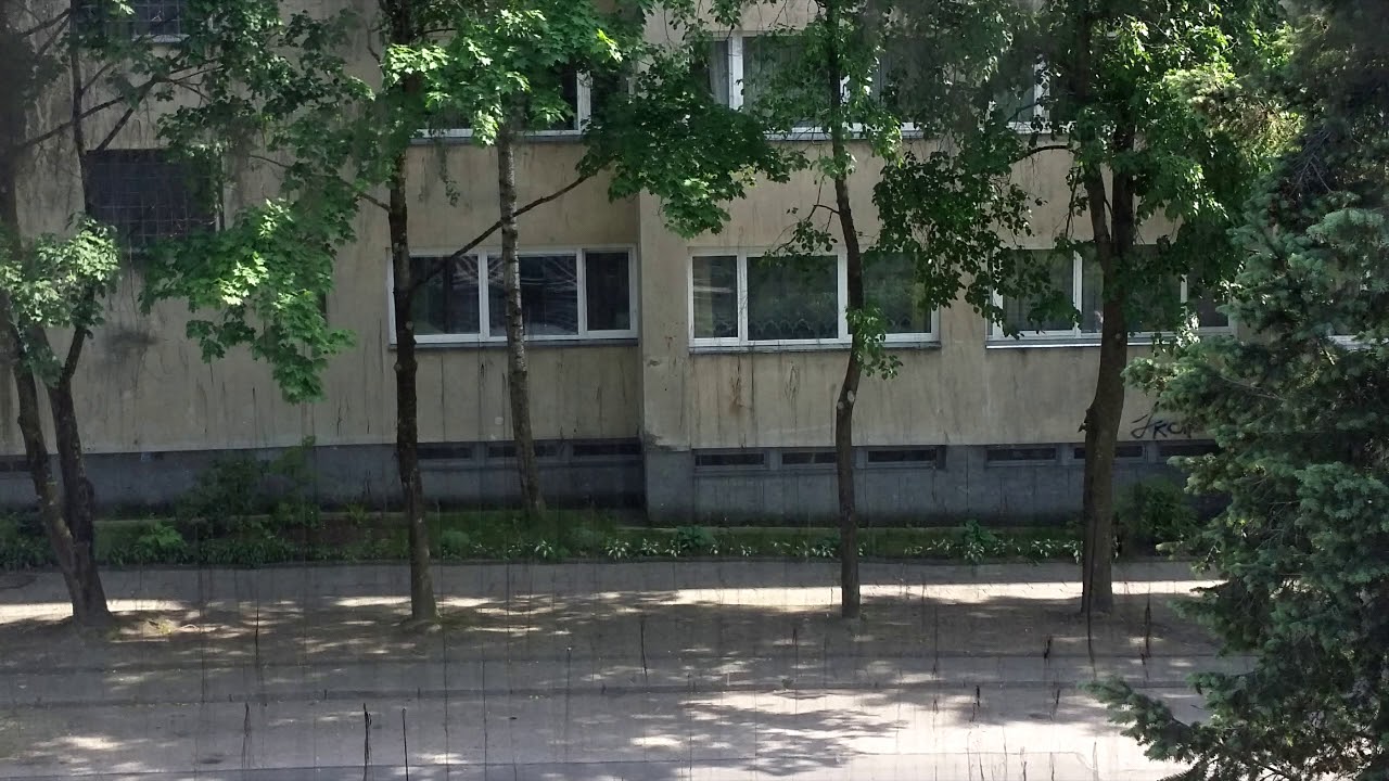 Nomeda Valančiūtė. Po miražais (1989)