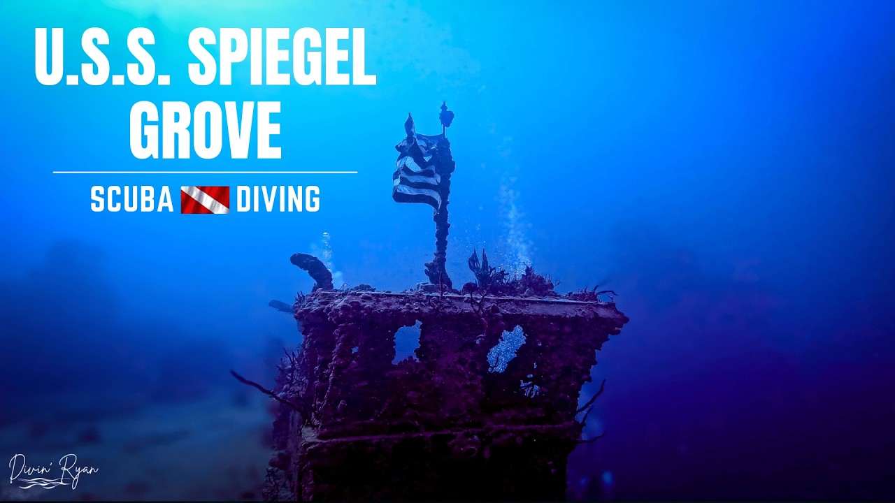 SCUBA Diving SHIPWRECKS in KEY LARGO - Sharks on the U.S.S. Spiegel Grove
