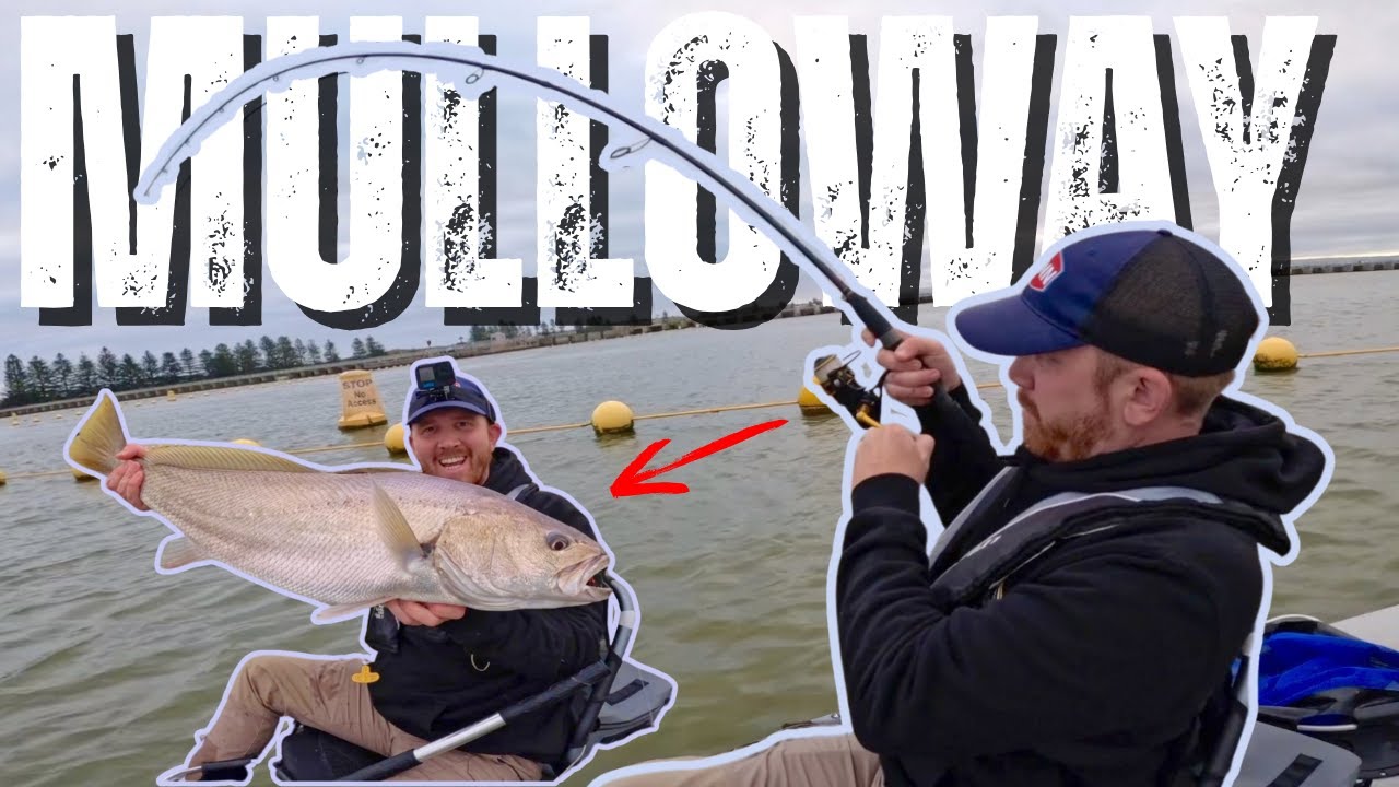 Kayak Fishing For Mulloway (Jewfish) | South Australia Kayak Fishing