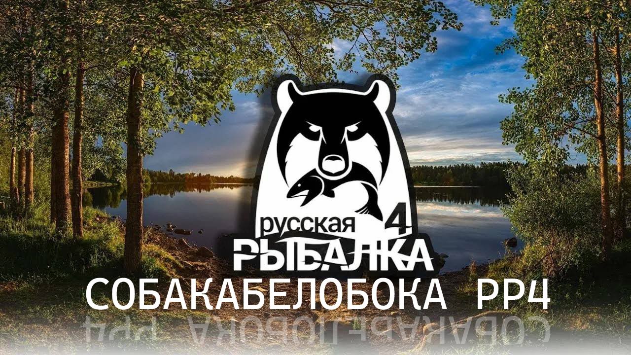 СОБАКАБЕЛОБОКА РР4 ,Медное,Янтарик,Медвежье, Крутим рулетки каждые 22 минуты . С наступающим !