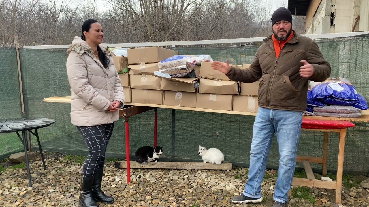 Asociatia Nils si prietenii sai va ureaza sarbatori fericite