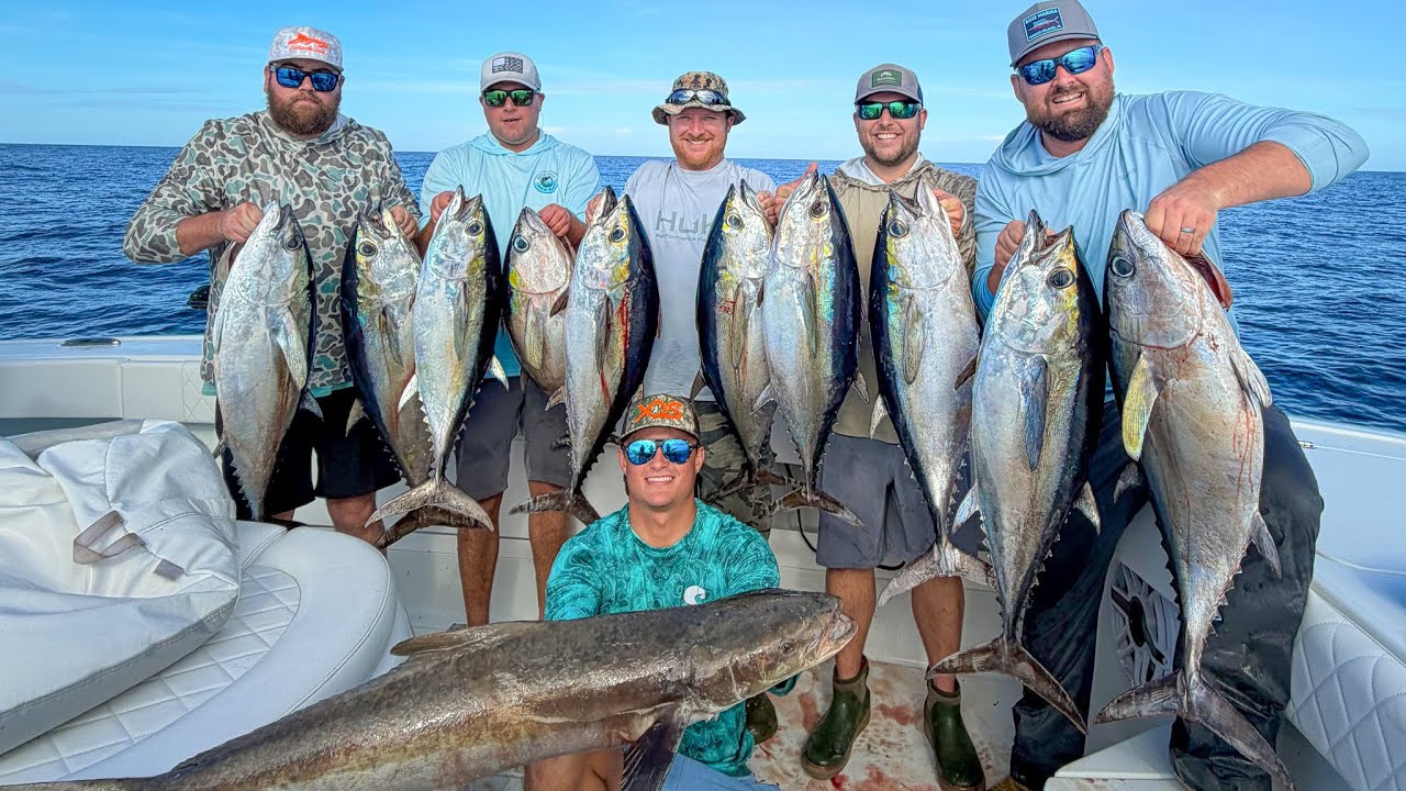 Winter Offshore Fishing at Its Peak | Tuna Limits & Cobia Everywhere