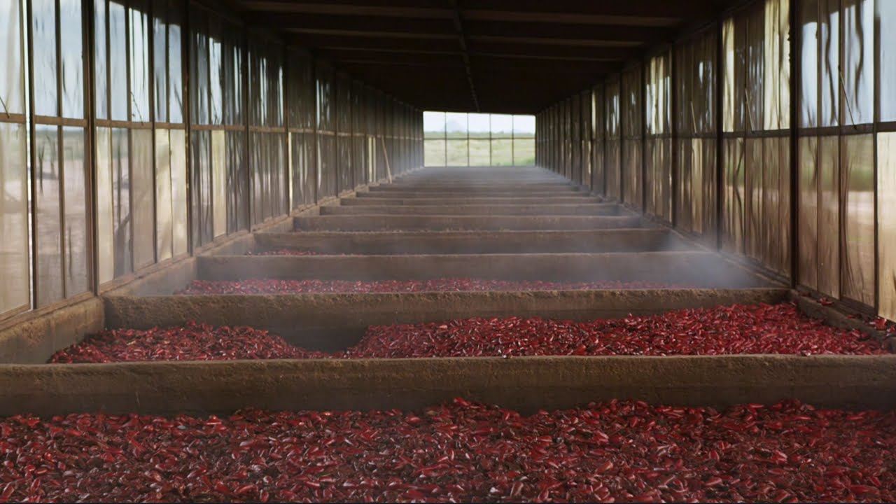 TABASCO&reg; Chipotle Sauce: Mexican heritage meets Louisiana tradition