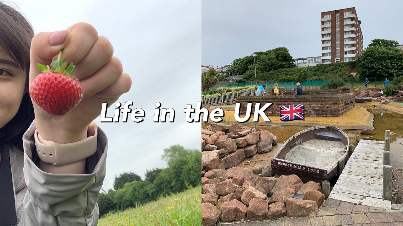 Life in Liverpool | Search for free TOPIK books online | Strawberry farm 🍓 & Mini golf in Prescot ⛳️