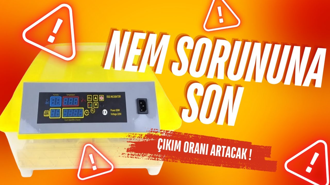 HHD – KMAI Çıkım Patlaması! %100 Başarı İçin Doğru Nem Ayar! #hdd #kmaı #kuluçka