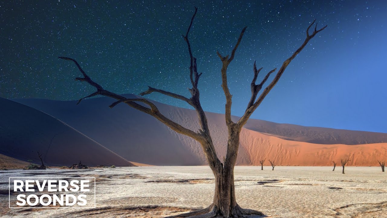 Reverse - Empire Of The Sun - High And Low