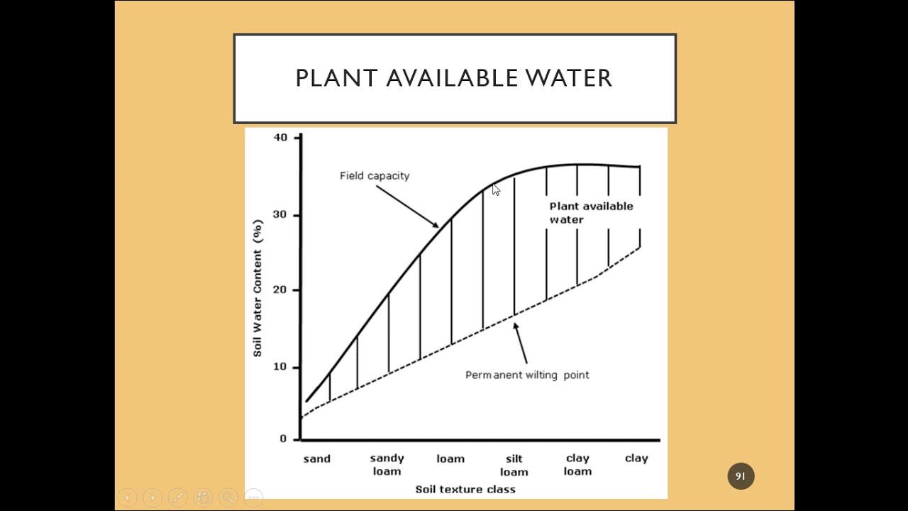 Soil Physical Properties  5  Plant Available Water and Color